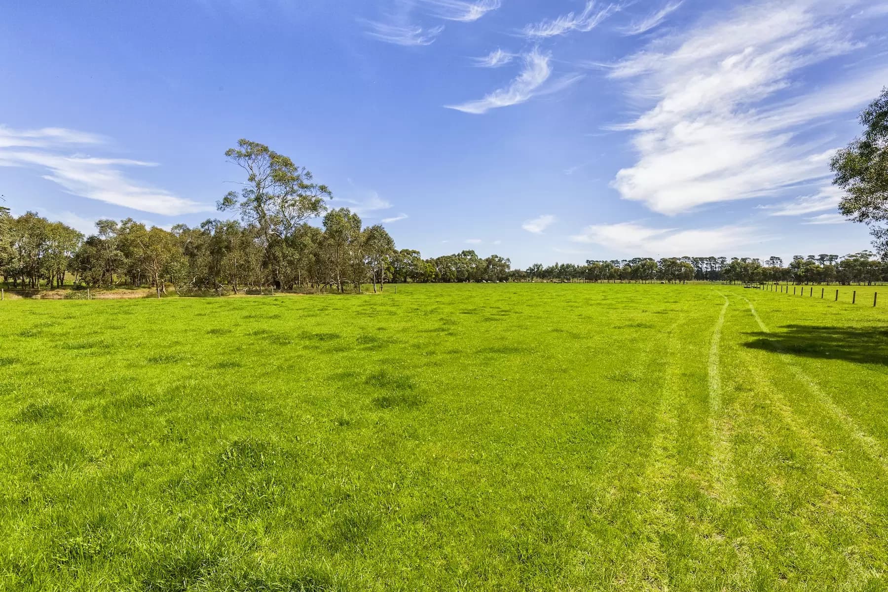 130 Hendersons Road, Bittern, Bittern - Thumbnail 6