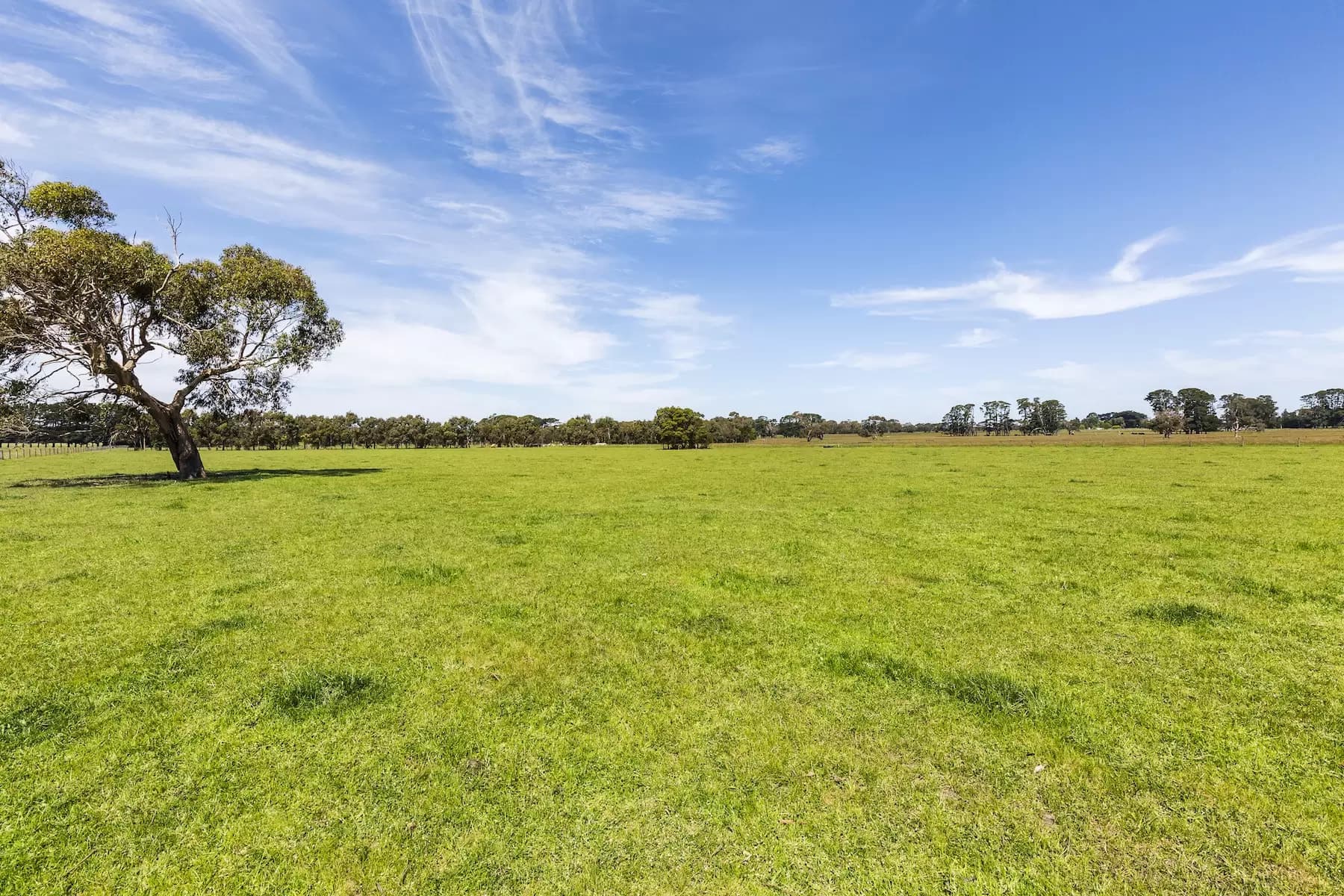 130 Hendersons Road, Bittern, Bittern - Thumbnail 7