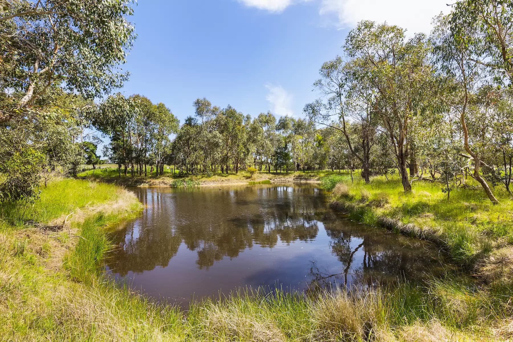 130 Hendersons Road, Bittern, Bittern - Thumbnail 8
