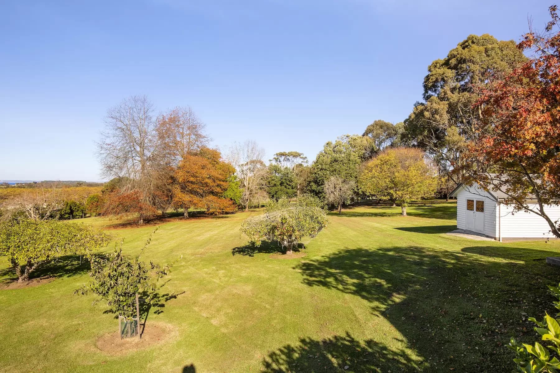 35 Stanleys Road, Merricks, Merricks - Thumbnail 2
