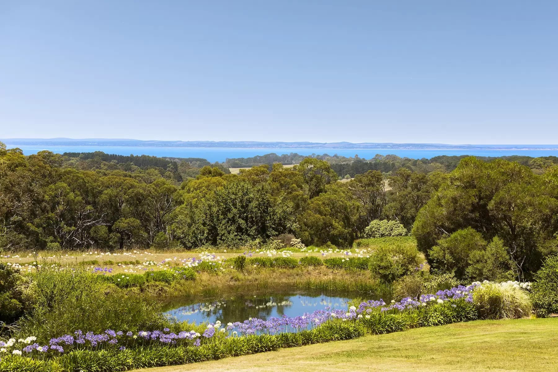 57 Shoreham Road, Red Hill South, Red Hill South - Image 1