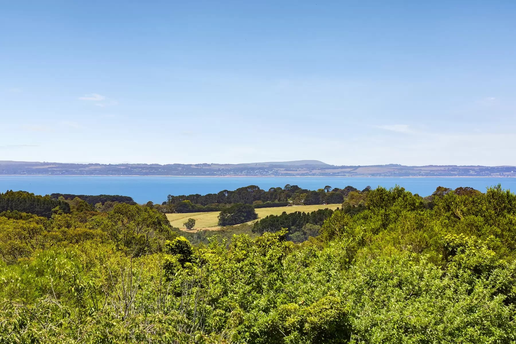57 Shoreham Road, Red Hill South, Red Hill South - Thumbnail 2
