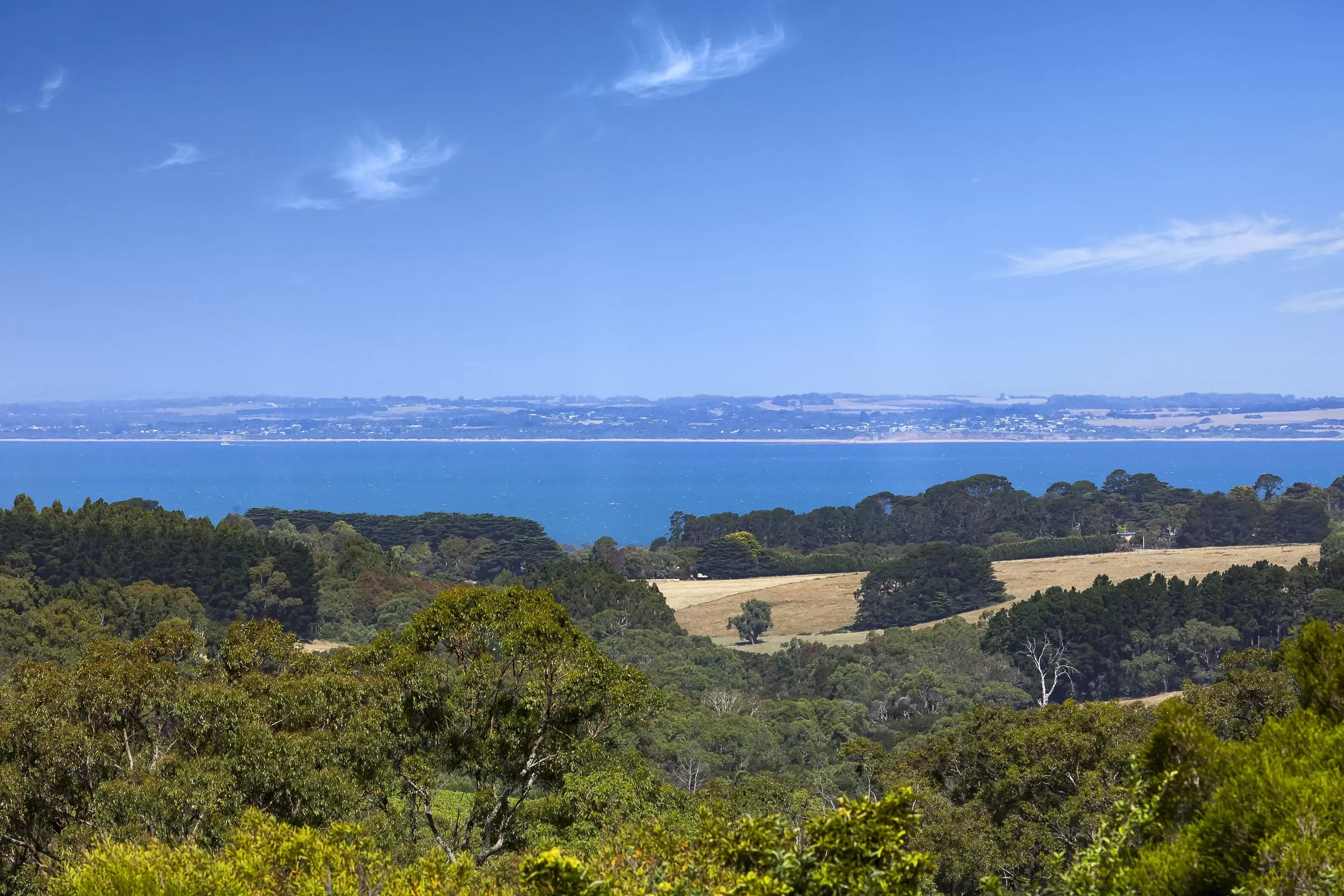 57 Shoreham Road, Red Hill South, Red Hill South - Thumbnail 3