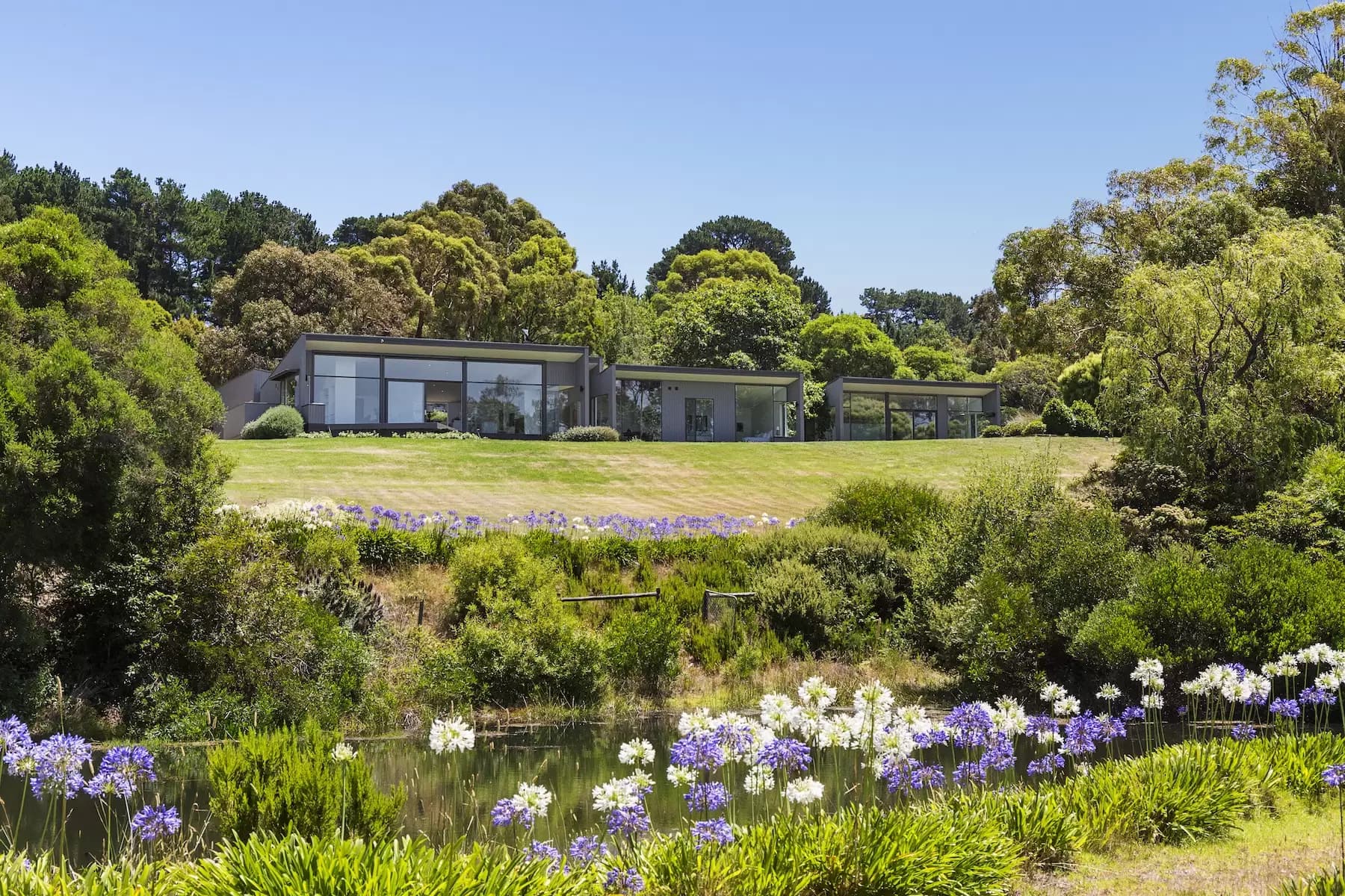 57 Shoreham Road, Red Hill South, Red Hill South - Thumbnail 5