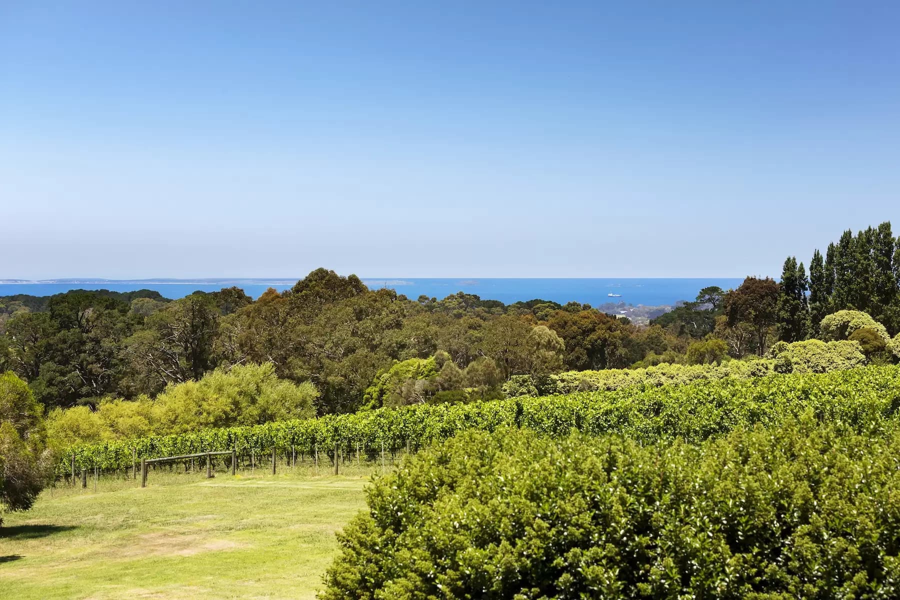 57 Shoreham Road, Red Hill South, Red Hill South - Thumbnail 7