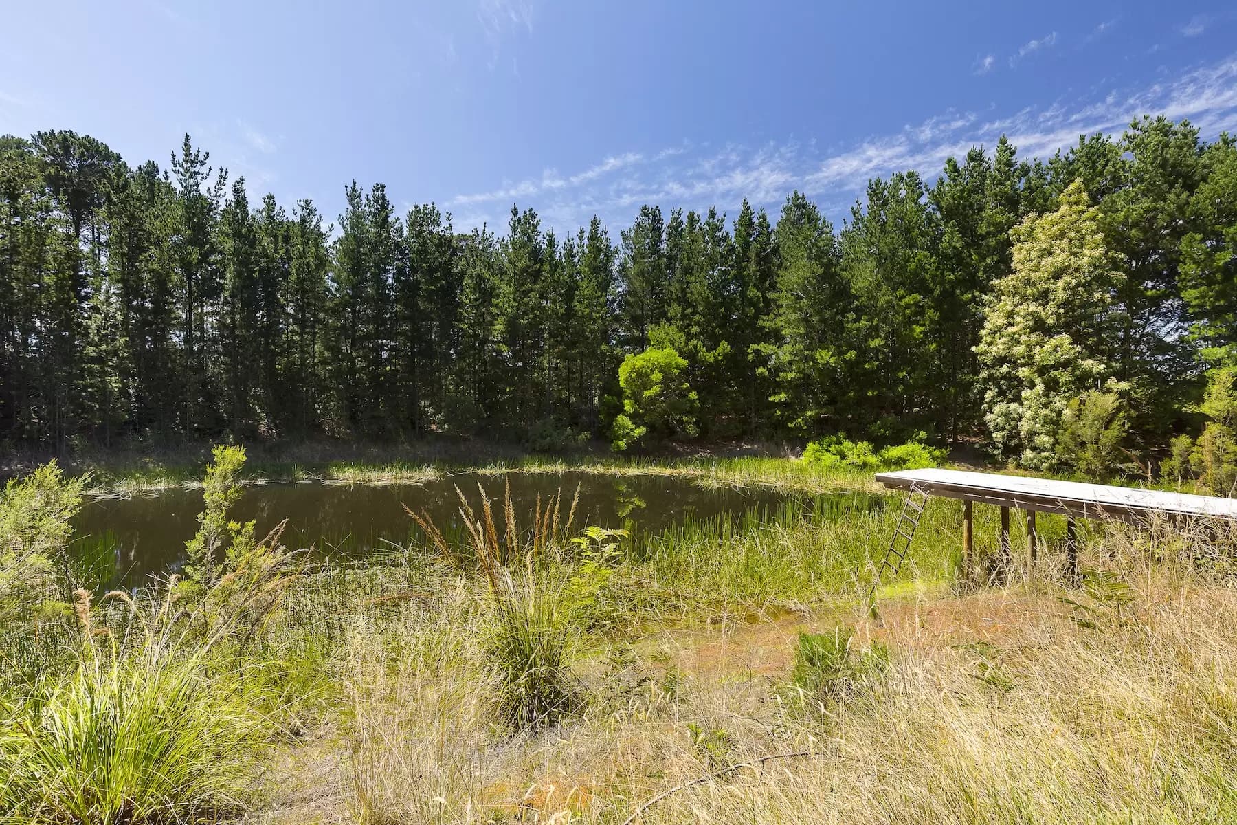 222 Bittern-Dromana Road, Merricks North, Merricks North - Thumbnail 4
