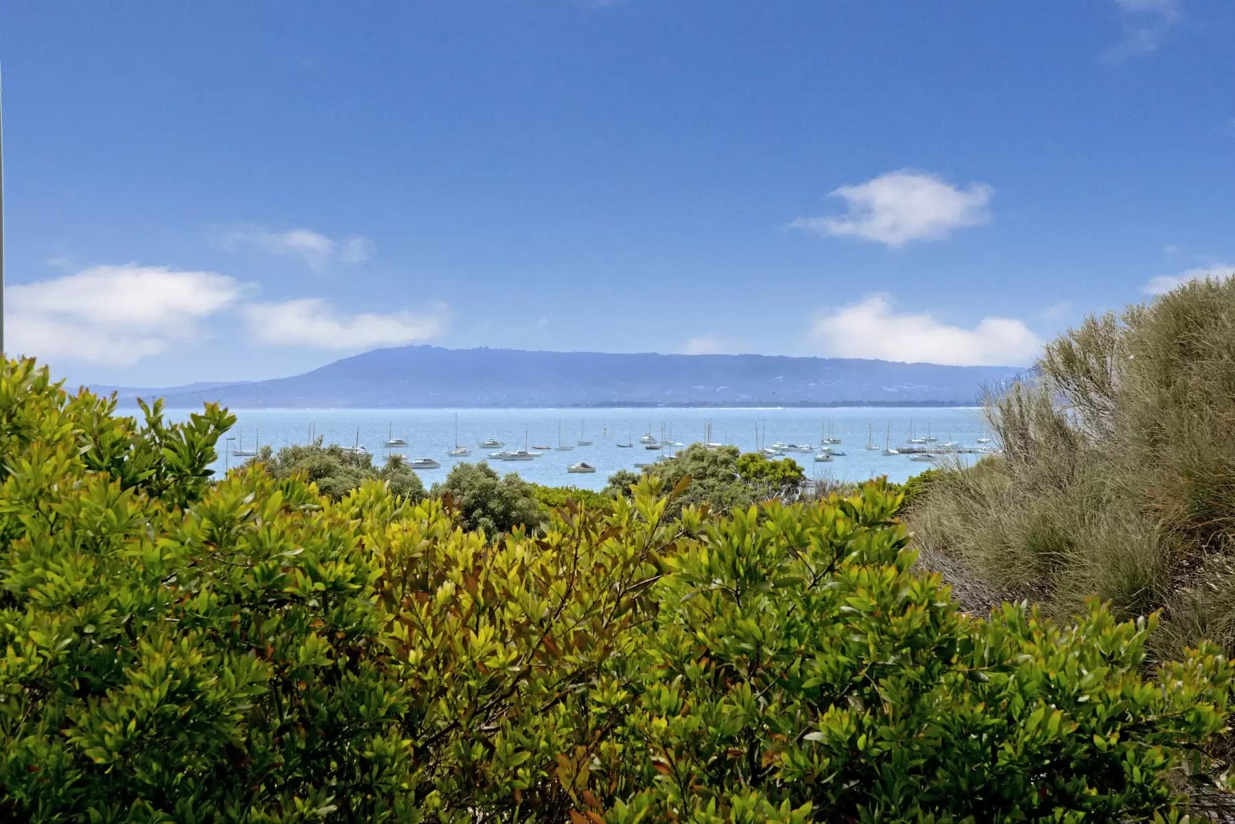 3247 Point Nepean Road, Sorrento, Sorrento - Thumbnail 5