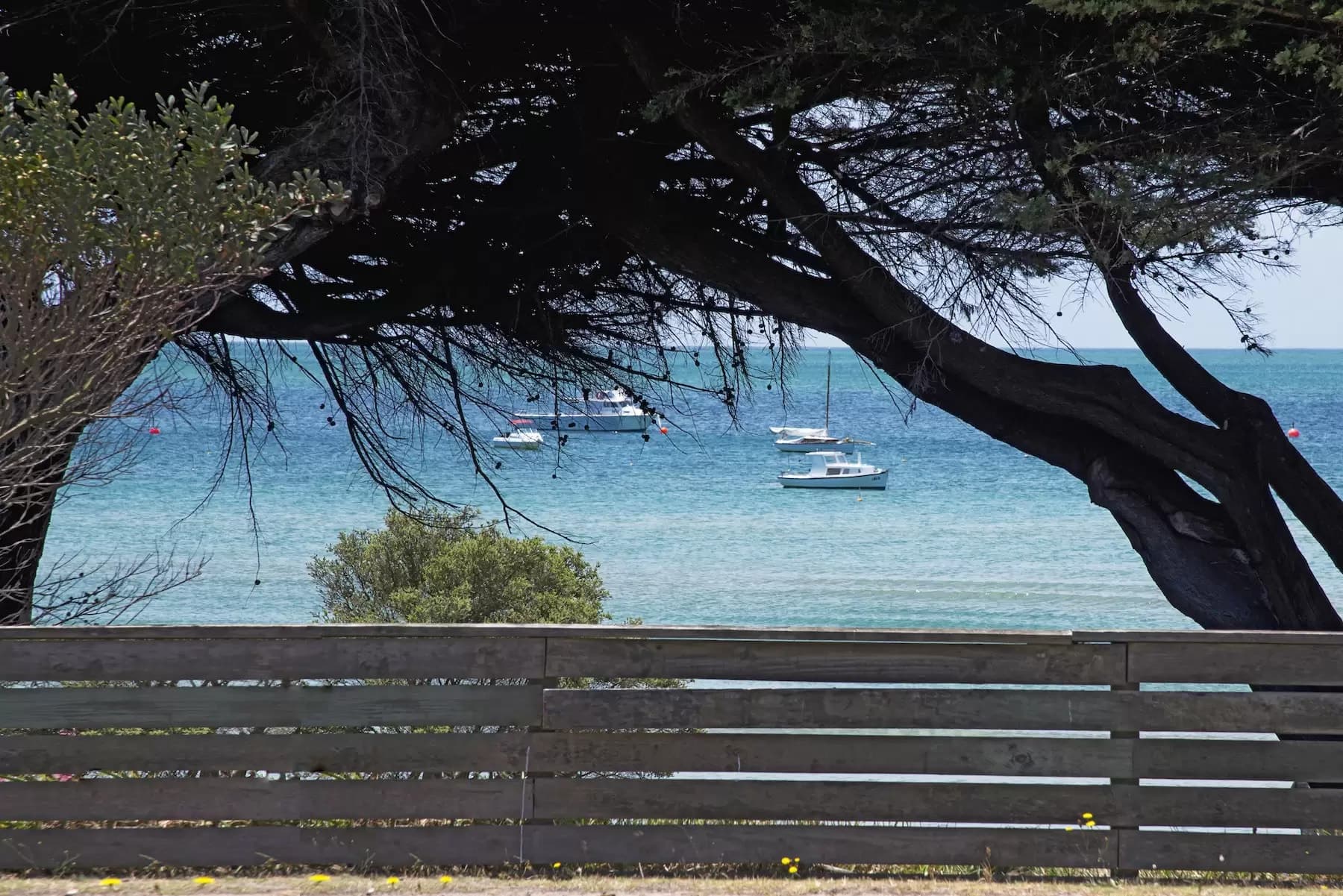3247 Point Nepean Road, Sorrento, Sorrento - Thumbnail 7