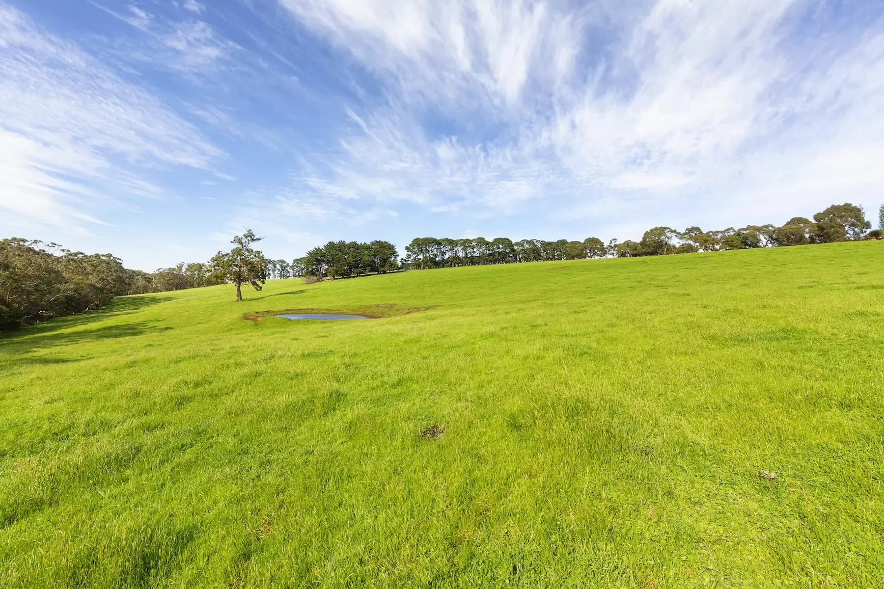 580 Main Creek Road, Main Ridge, Main Ridge - Thumbnail 4