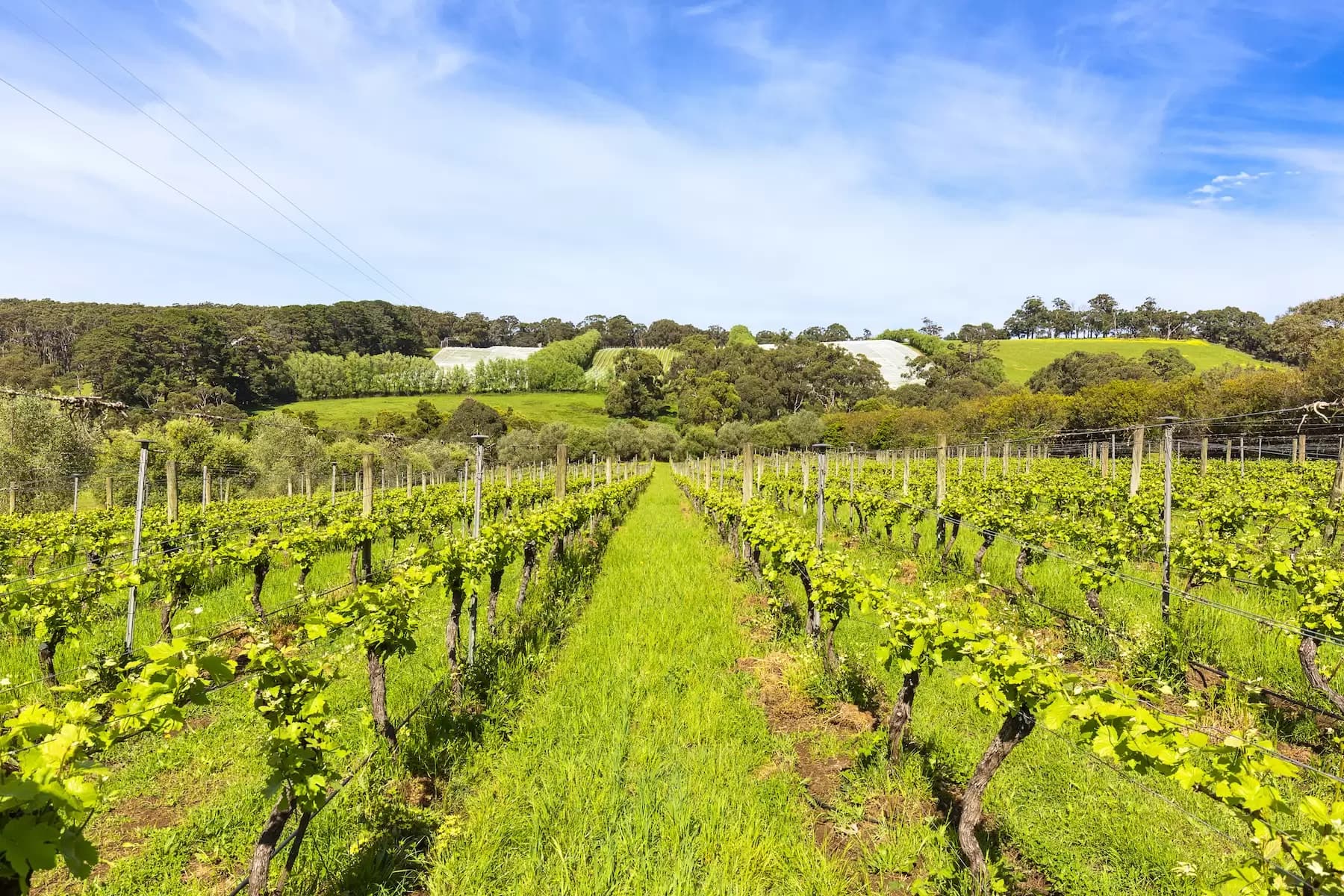 340 Tucks Road, Shoreham, Shoreham - Thumbnail 2