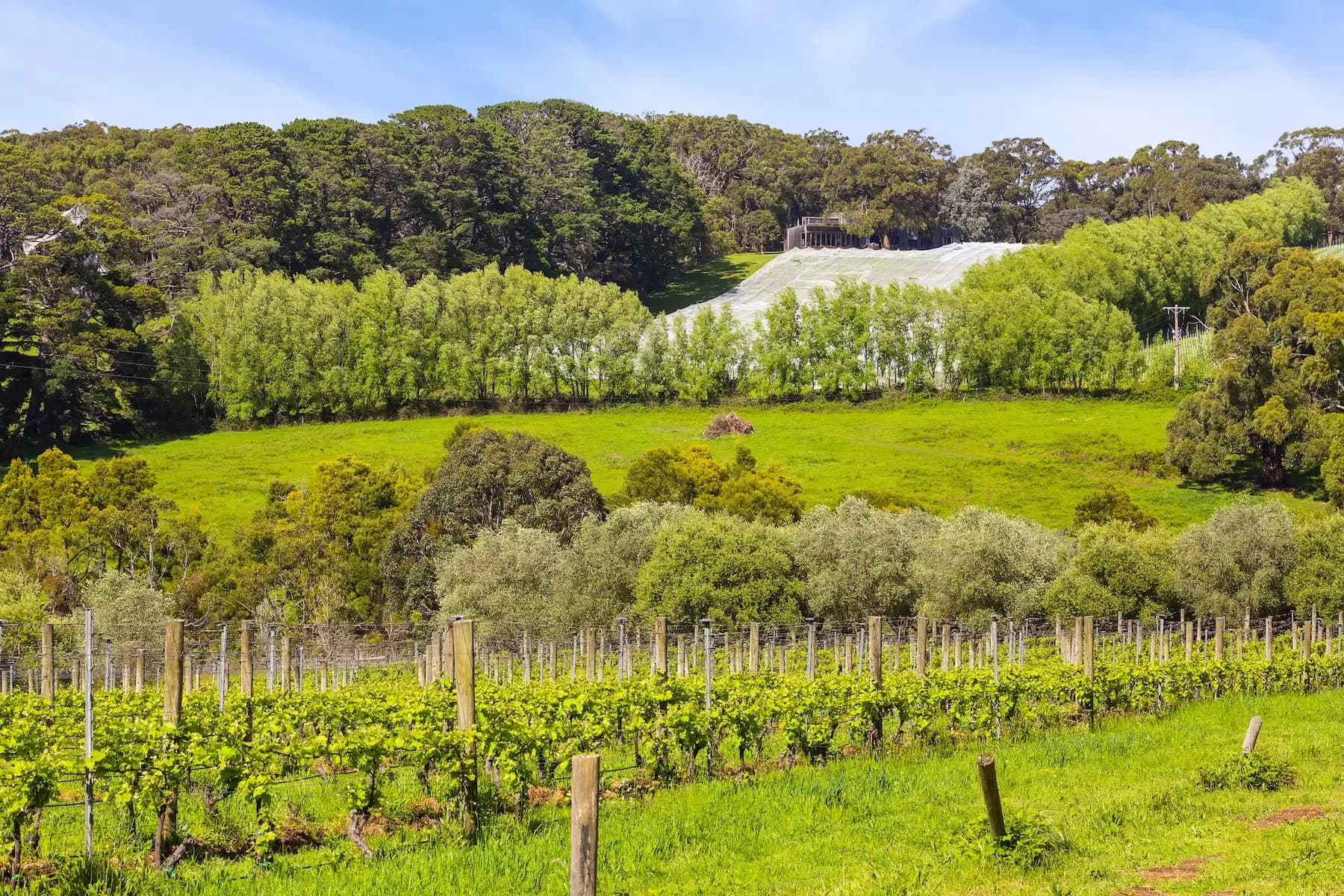 340 Tucks Road, Shoreham, Shoreham - Thumbnail 3