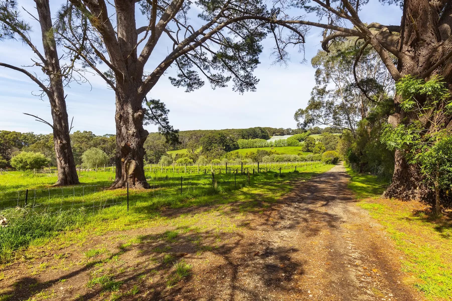 340 Tucks Road, Shoreham, Shoreham - Thumbnail 4
