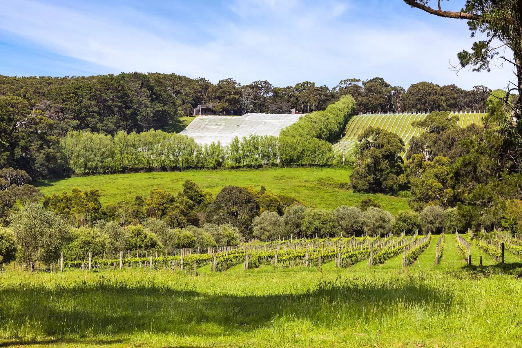 340 Tucks Road, Shoreham, Shoreham - Thumbnail 5