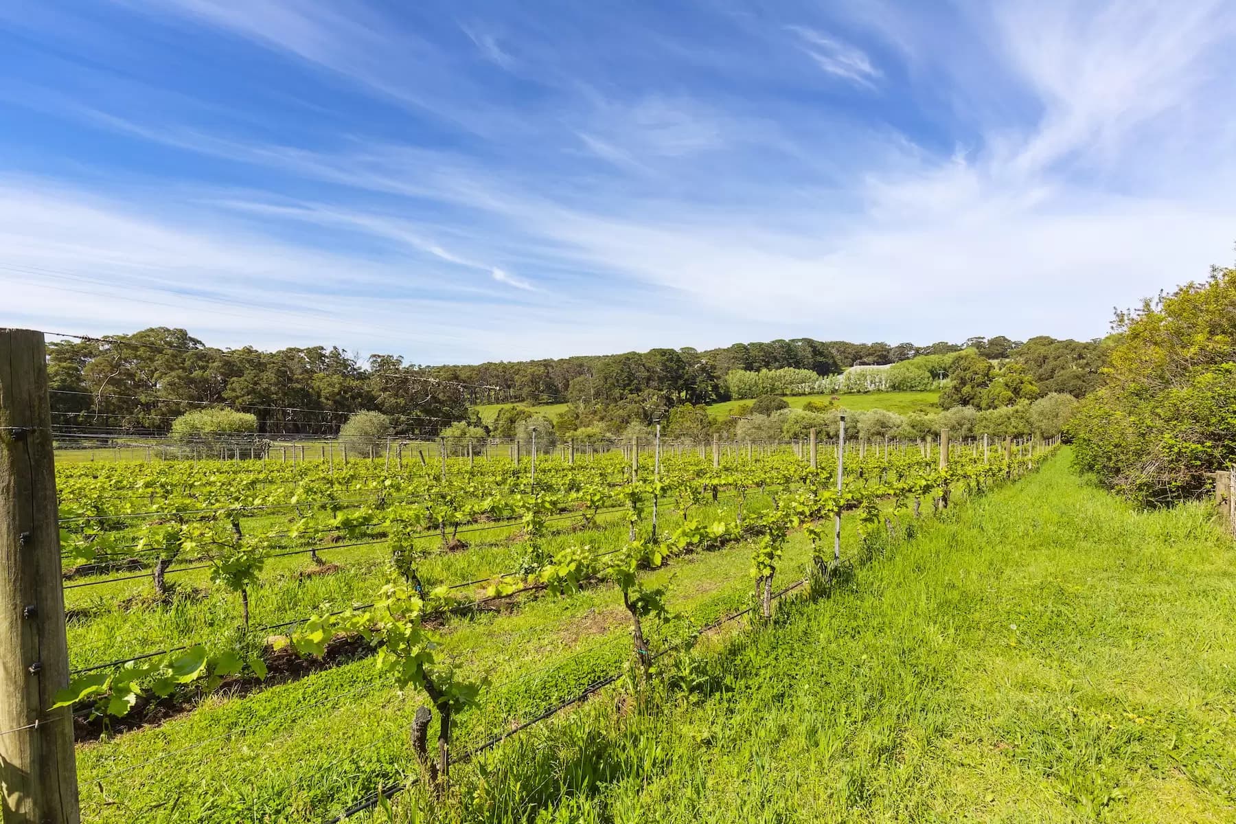 340 Tucks Road, Shoreham, Shoreham - Thumbnail 6