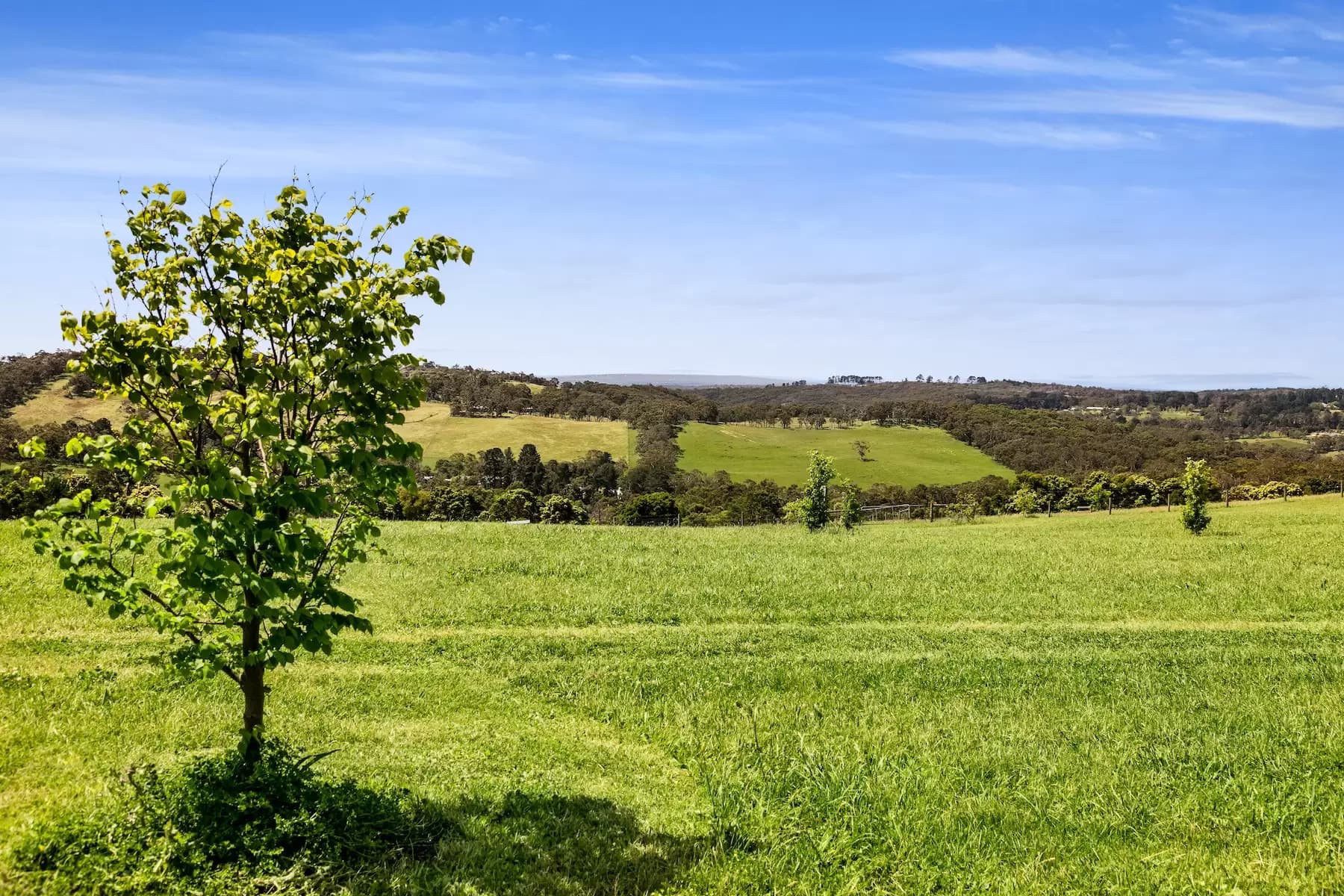 116 Donaldsons Road, Red Hill, Red Hill - Thumbnail 3