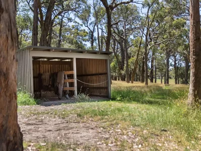 185 Meakins Road, Flinders, Flinders - Thumbnail 8