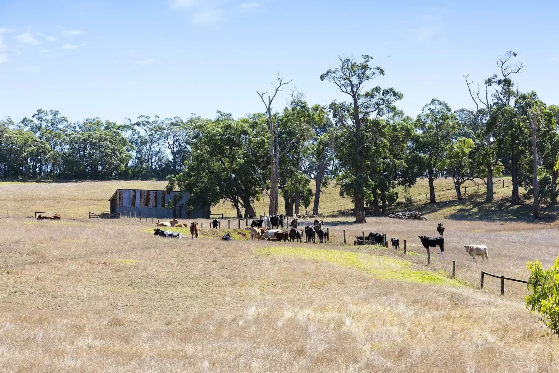 181-193 Tucks Road, Main Ridge, Main Ridge - Thumbnail 8