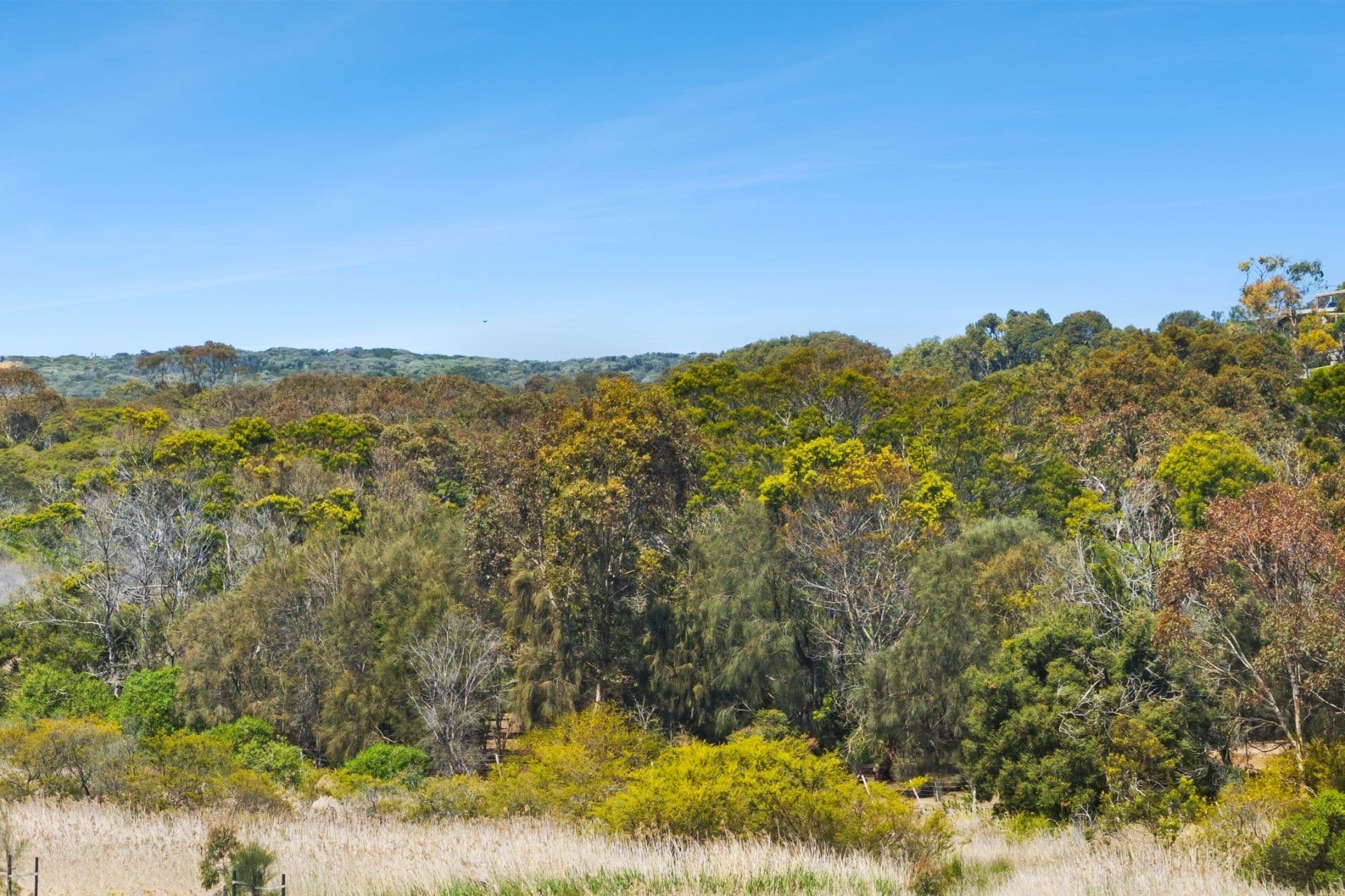 26 Yateman Boulevard Torquay VIC, Torquay - Thumbnail 4