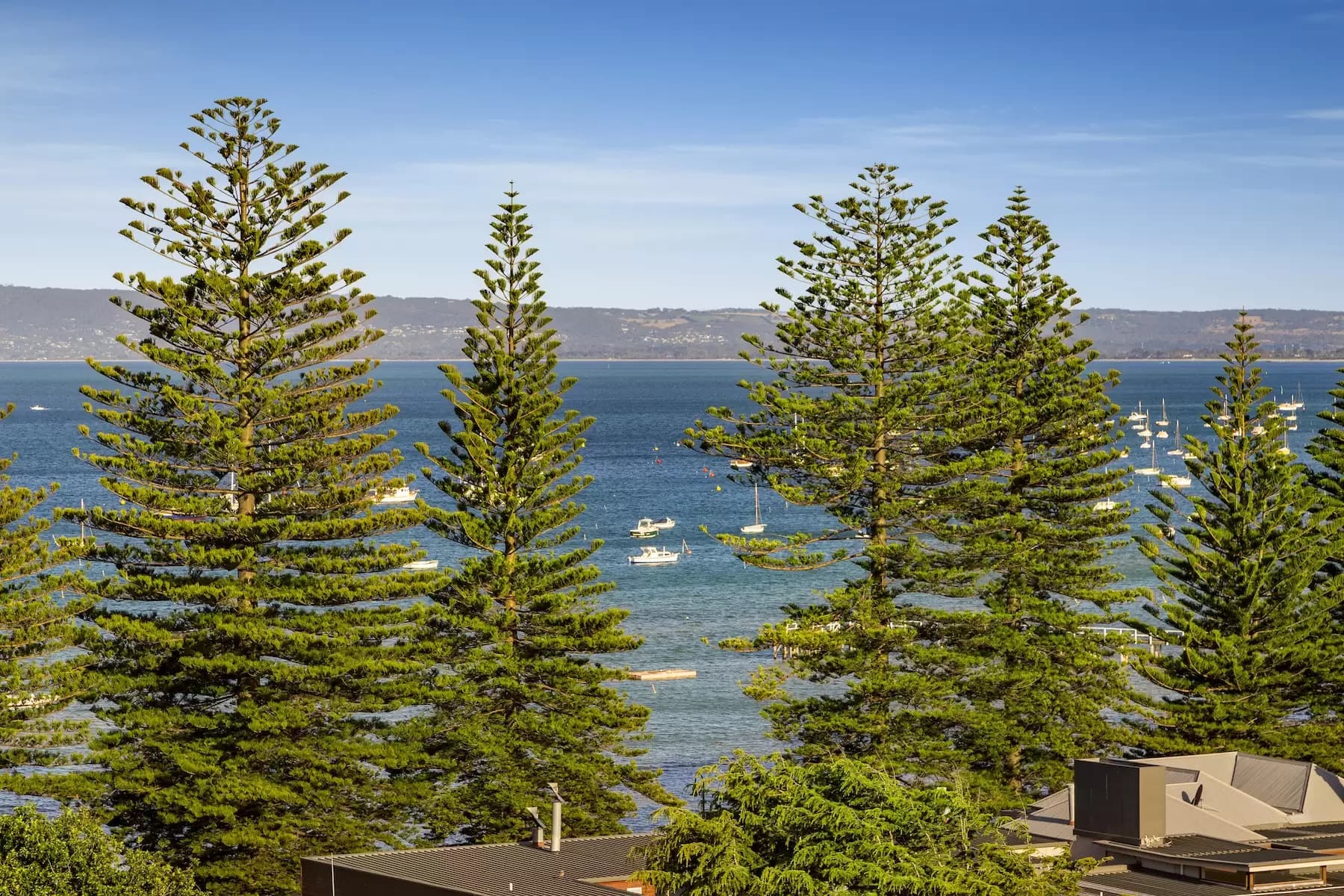 4 Ruth Avenue, Sorrento, Sorrento - Thumbnail 3