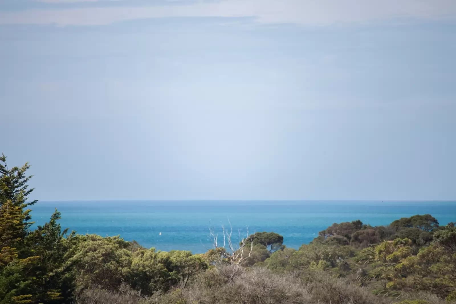 15 Tallant Avenue, Sorrento, Sorrento - Thumbnail 5