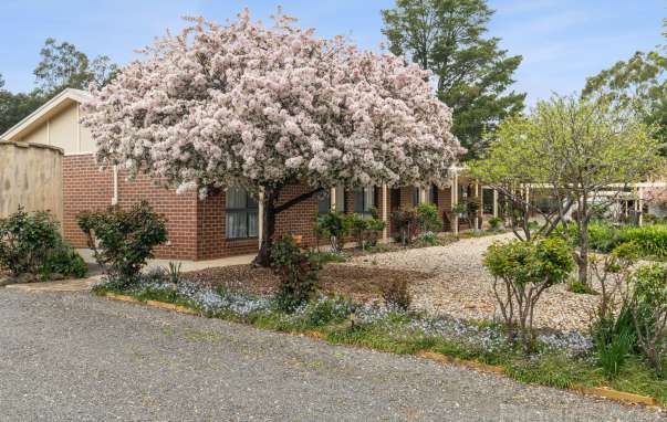 492 Maldon Newstead Road, Welshmans Reef, VIC, Welshmans Reef - Image 1
