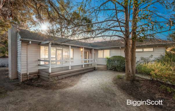 19 Shirley Avenue, Glen Waverley, VIC, Glen Waverley - Image 1