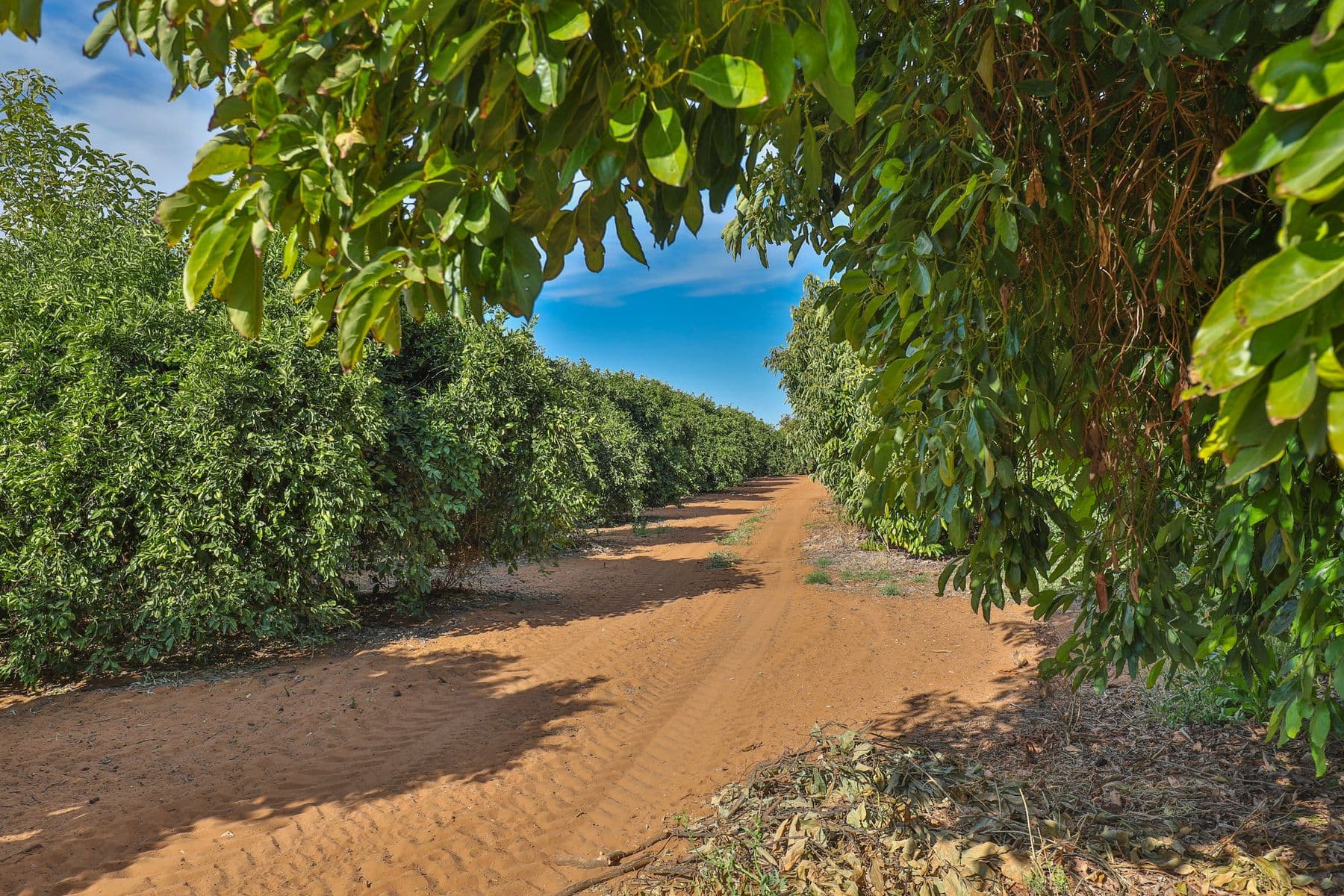 130 Mourquong Road & 82 Arumpo Road, Mourquong - Thumbnail 5