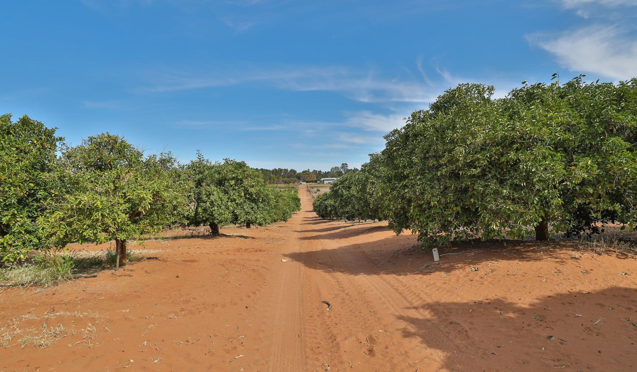130 Mourquong Road & 82 Arumpo Road, Mourquong - Thumbnail 7