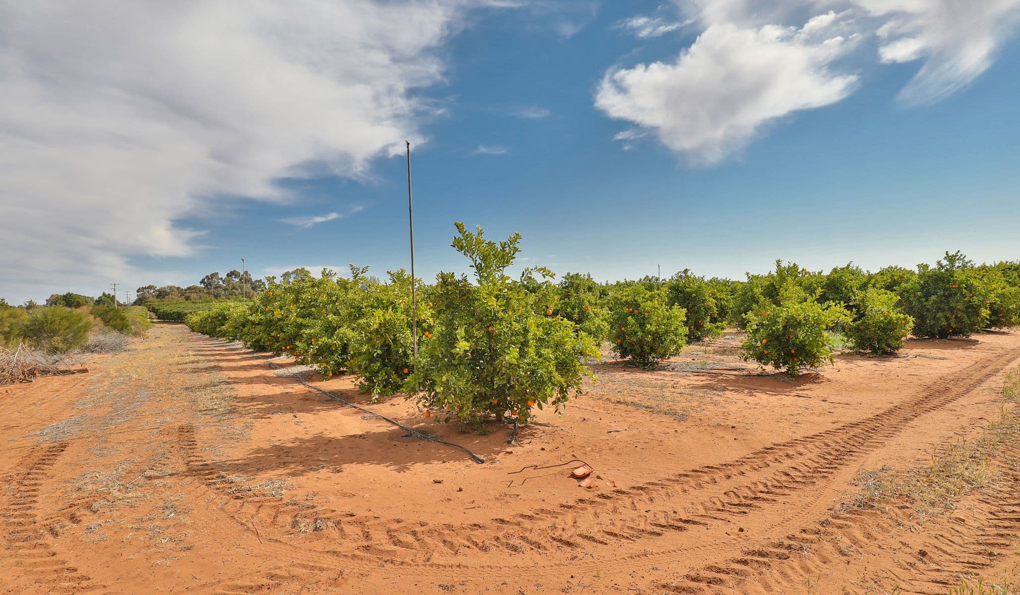 130 Mourquong Road & 82 Arumpo Road, Mourquong - Thumbnail 8
