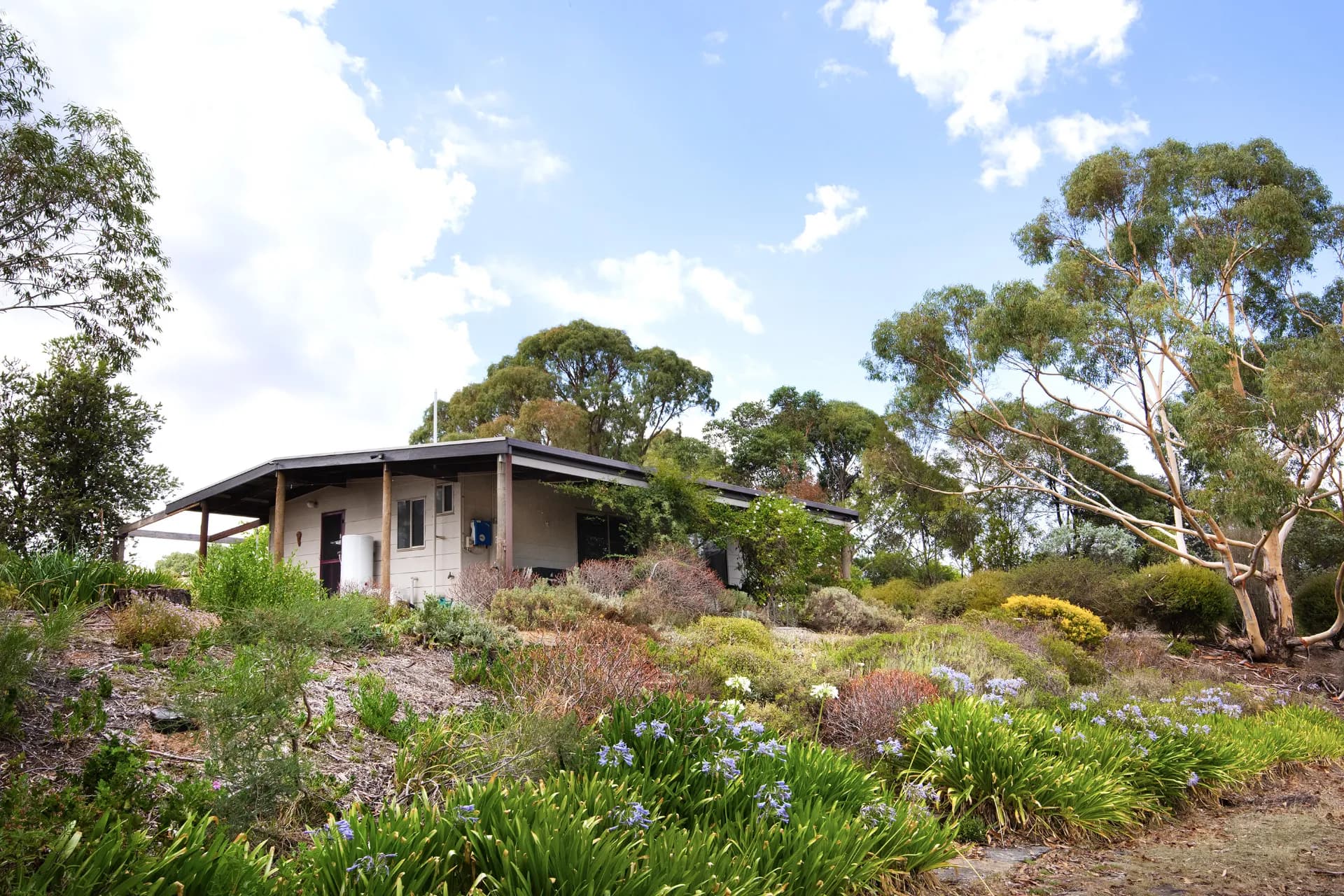 54 Mount View Drive, Elphinstone - Thumbnail 4
