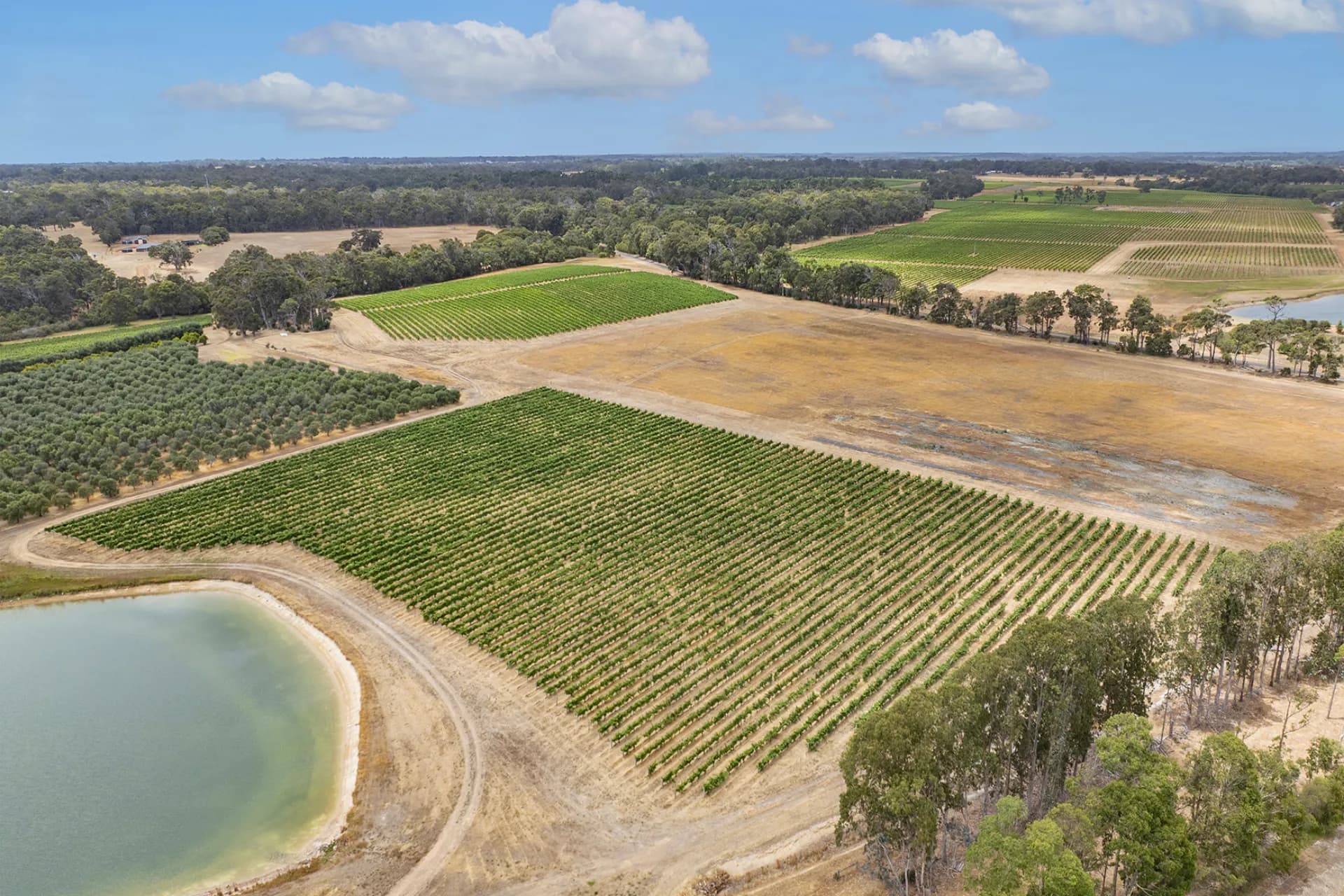 Lot 502 Clews Road, Cowaramup - Thumbnail 4