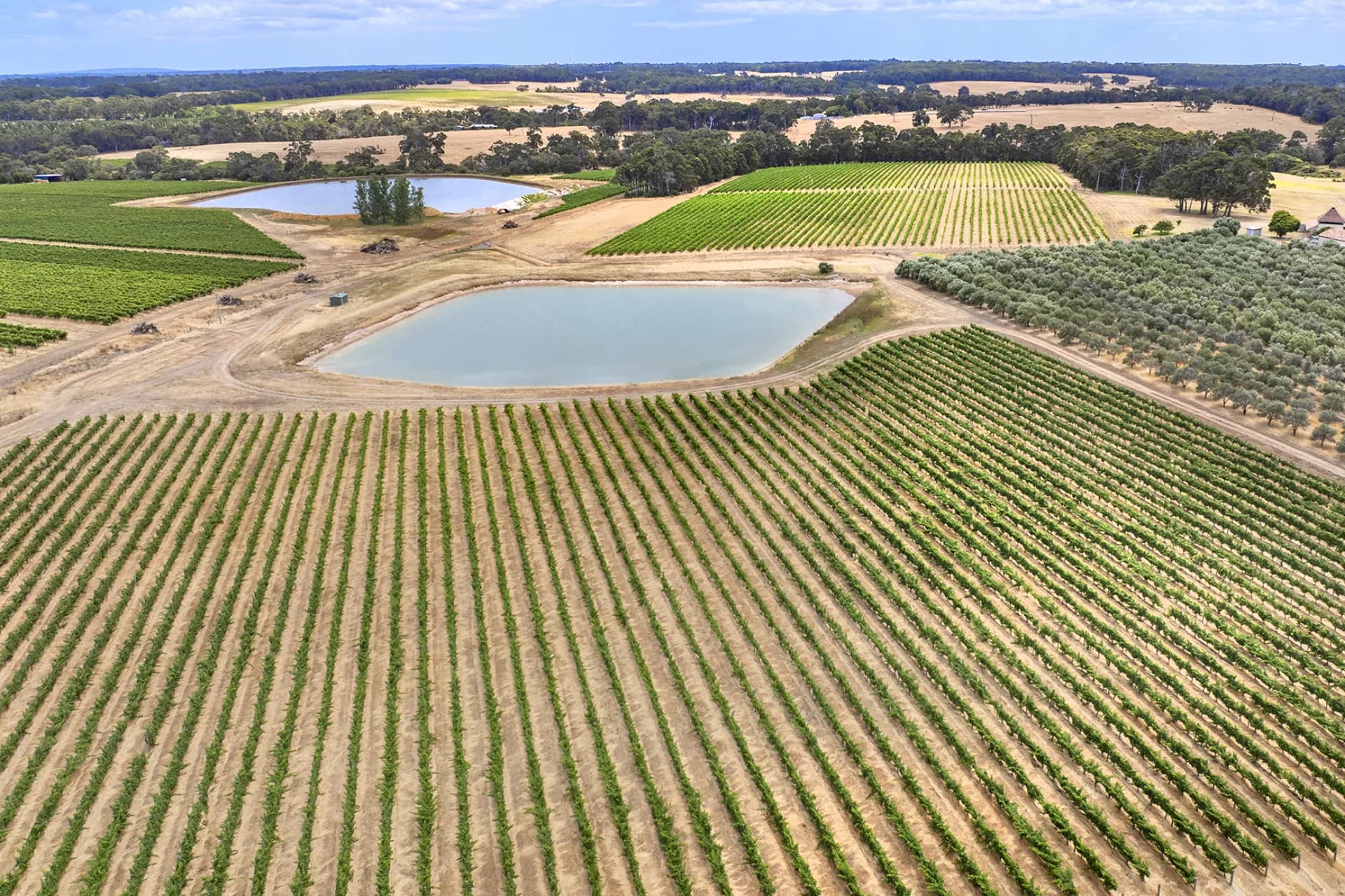 Lot 502 Clews Road, Cowaramup - Thumbnail 8