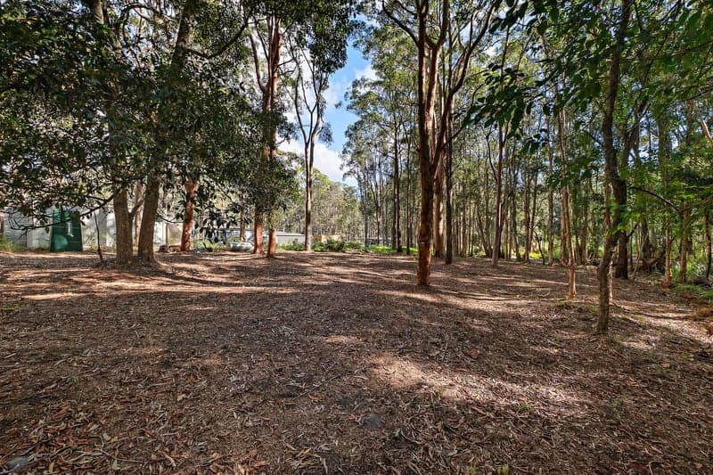 14 Caloola Street, Pindimar - Thumbnail 5