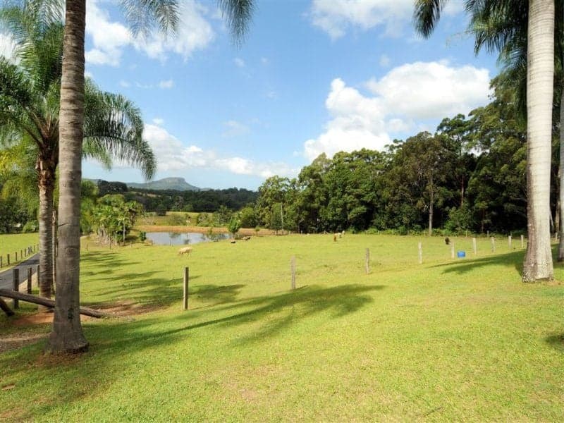50 Andersons Road YANDINA QLD, Yandina - Thumbnail 3