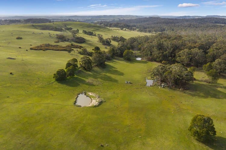 155 Frosts Road, Benloch, Benloch - Image 1