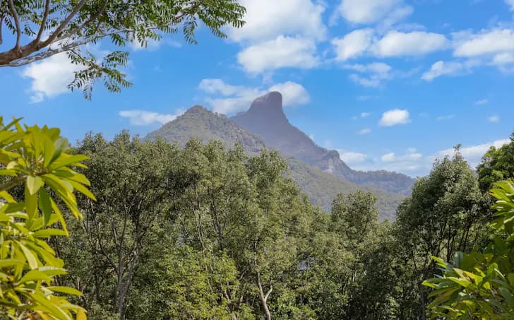 87 Bonnydoon Road, Uki, NSW, 2484, Uki - Thumbnail 3