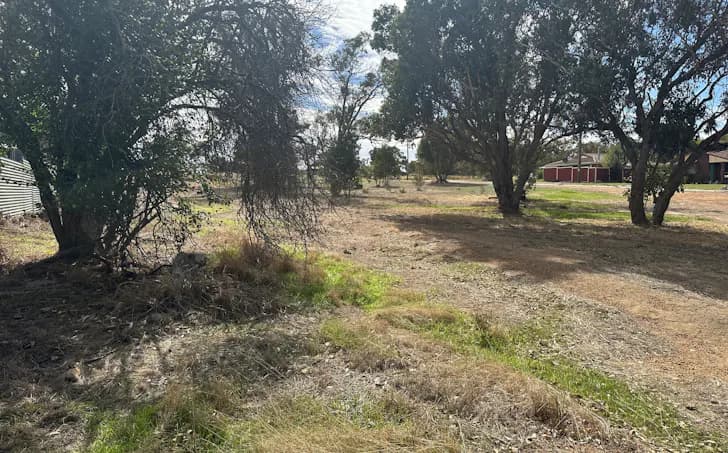 6 Macbride Street, Kojonup, WA, 6395, Kojonup - Thumbnail 4