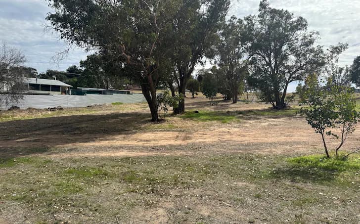 6 Macbride Street, Kojonup, WA, 6395, Kojonup - Thumbnail 5