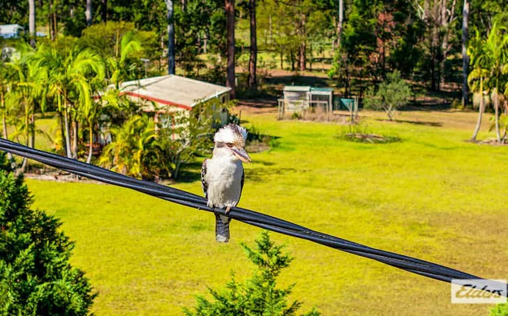 14 Treeview Drive, Rainbow Flat, NSW, 2430, Rainbow Flat - Thumbnail 4