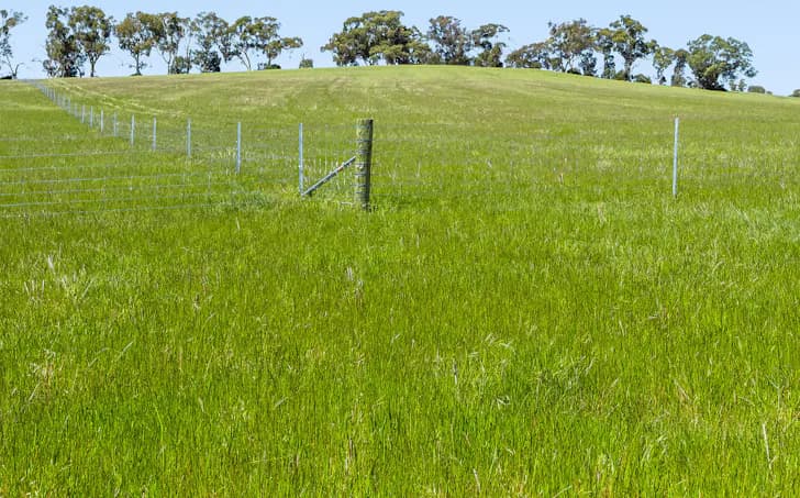 1 /Ararat-Halls Gap Road, Moyston, VIC, 3377, Moyston - Thumbnail 6