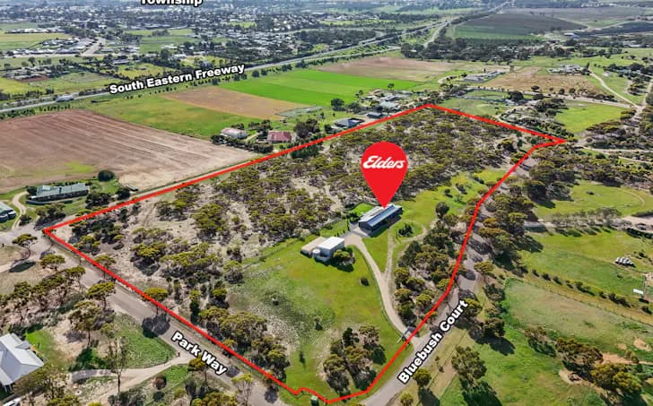 7 Bluebush Court, Murray Bridge, SA, 5253, Murray Bridge - Thumbnail 3