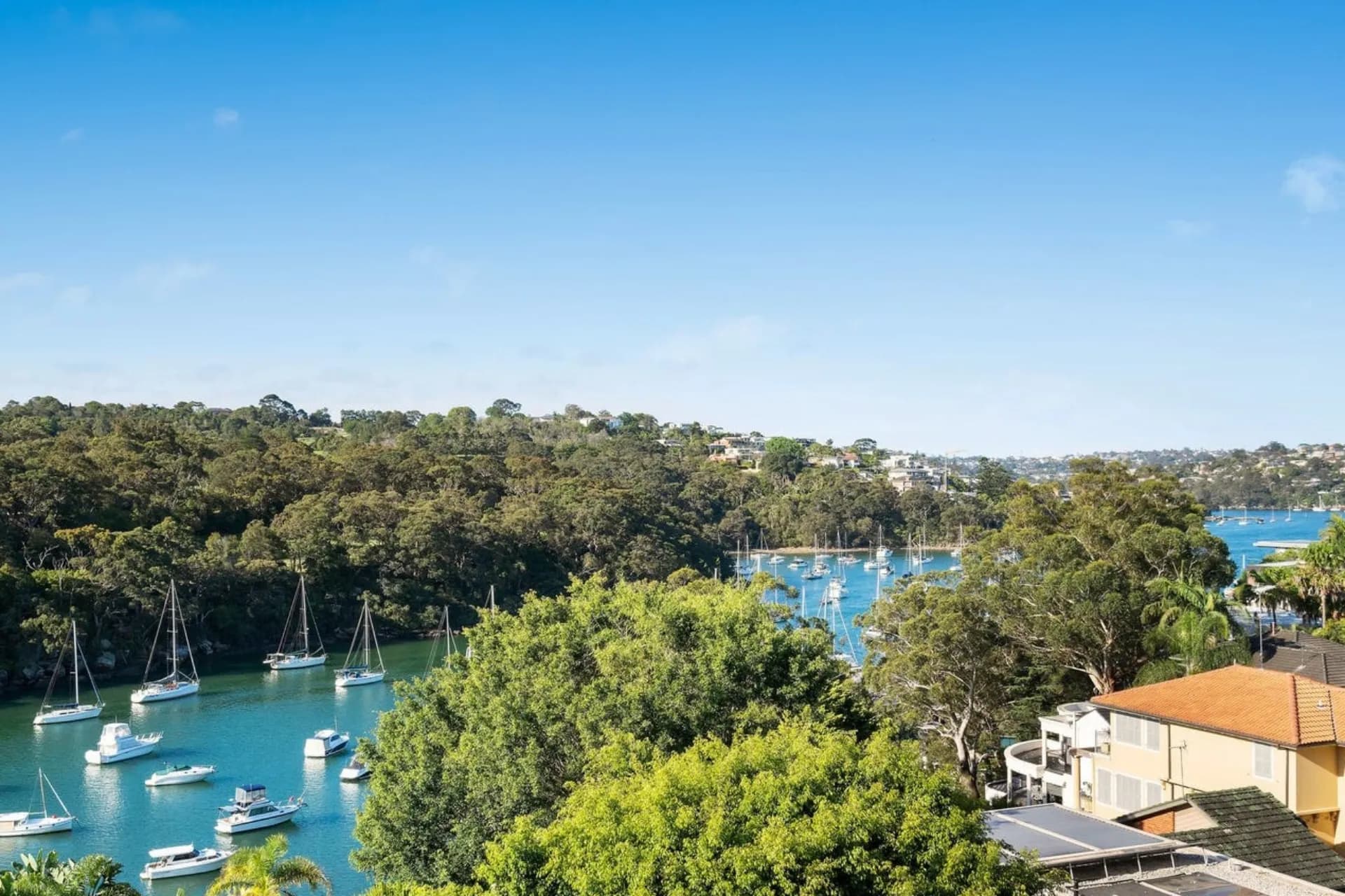 31 Cowdroy Avenue, Cammeray, NSW, Cammeray - Thumbnail 6