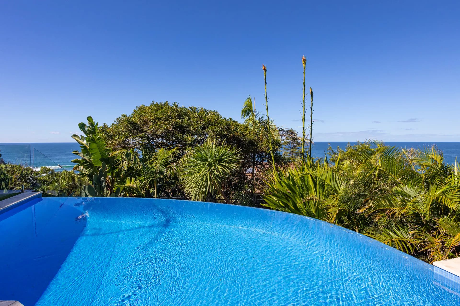 11 Karloo Parade, Newport, NSW, Newport - Thumbnail 8