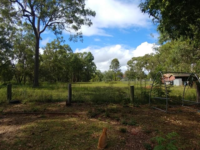 125 Green Road, Park Ridge, QLD, 4125, Park Ridge - Thumbnail 3