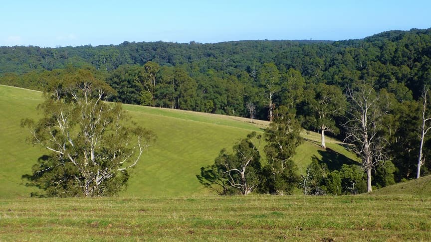Lot 1/65 Parker Road, Gembrook, VIC, 3783, Gembrook - Image 1