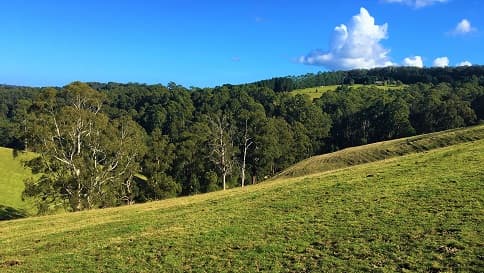 Lot 1/65 Parker Road, Gembrook, VIC, 3783, Gembrook - Thumbnail 2