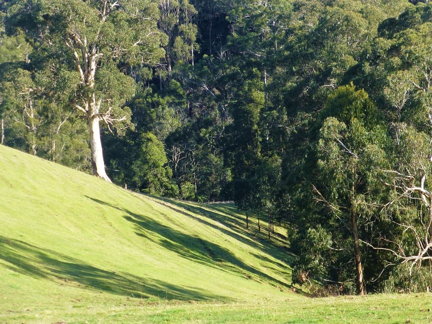 Lot 1/65 Parker Road, Gembrook, VIC, 3783, Gembrook - Thumbnail 3