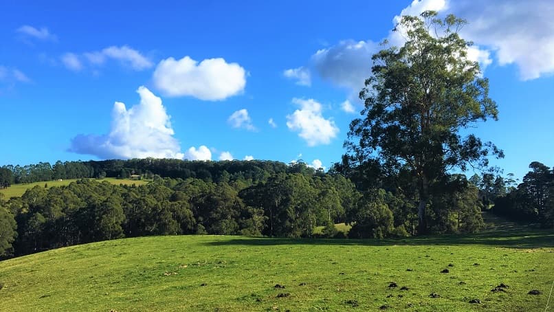 Lot 1/65 Parker Road, Gembrook, VIC, 3783, Gembrook - Thumbnail 4
