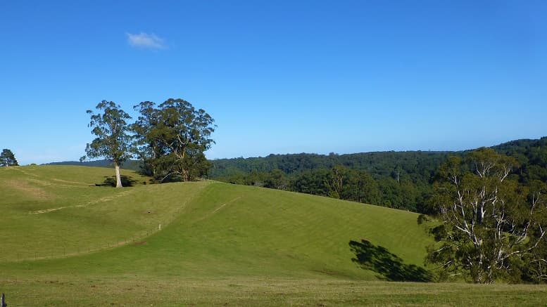 Lot 1/65 Parker Road, Gembrook, VIC, 3783, Gembrook - Thumbnail 5