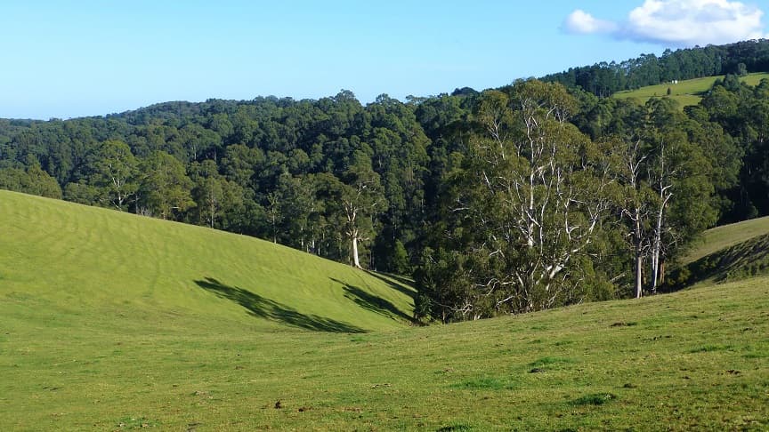 Lot 1/65 Parker Road, Gembrook, VIC, 3783, Gembrook - Thumbnail 7